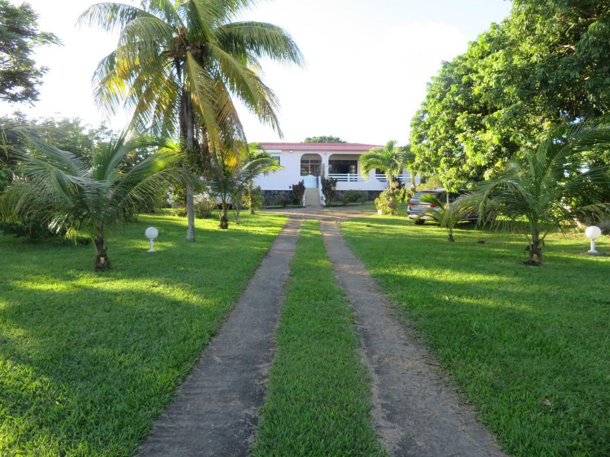 Ti Cajou Apartment Baie-Mahault Exterior foto