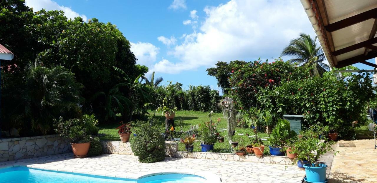 Ti Cajou Apartment Baie-Mahault Exterior foto